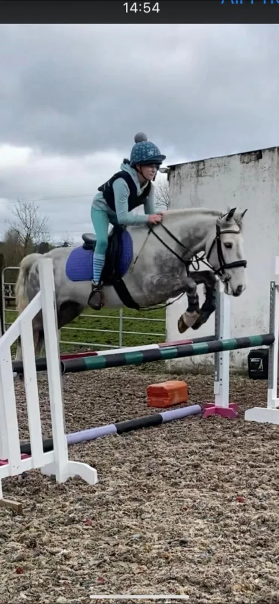 Superb 12.2 Pony - Image 4