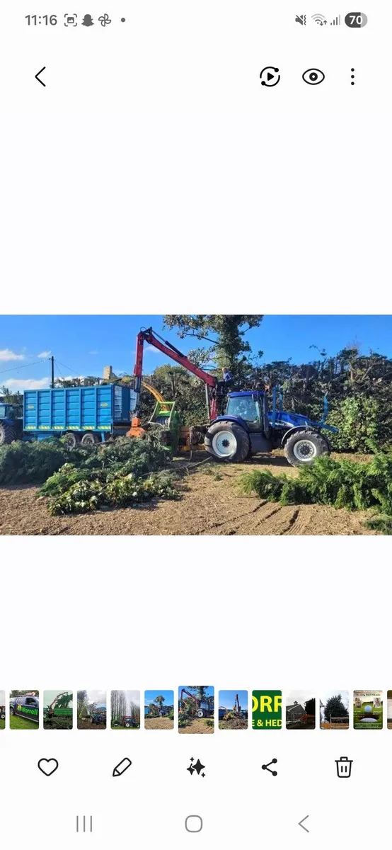 Woodchipping, green waste, site clearance - Image 3