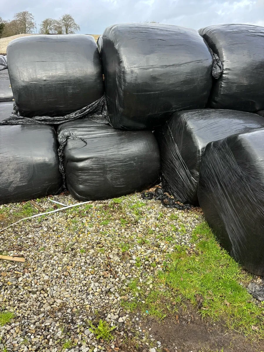 Silage Bales - Image 2