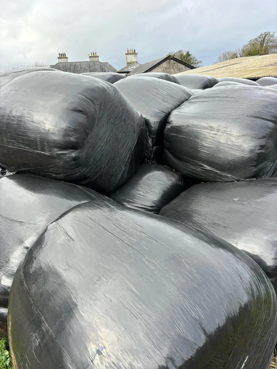 Silage Bales - Image 3