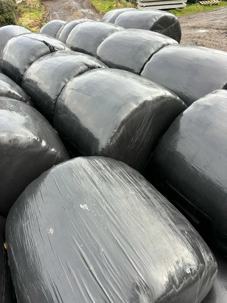 Silage Bales - Image 1