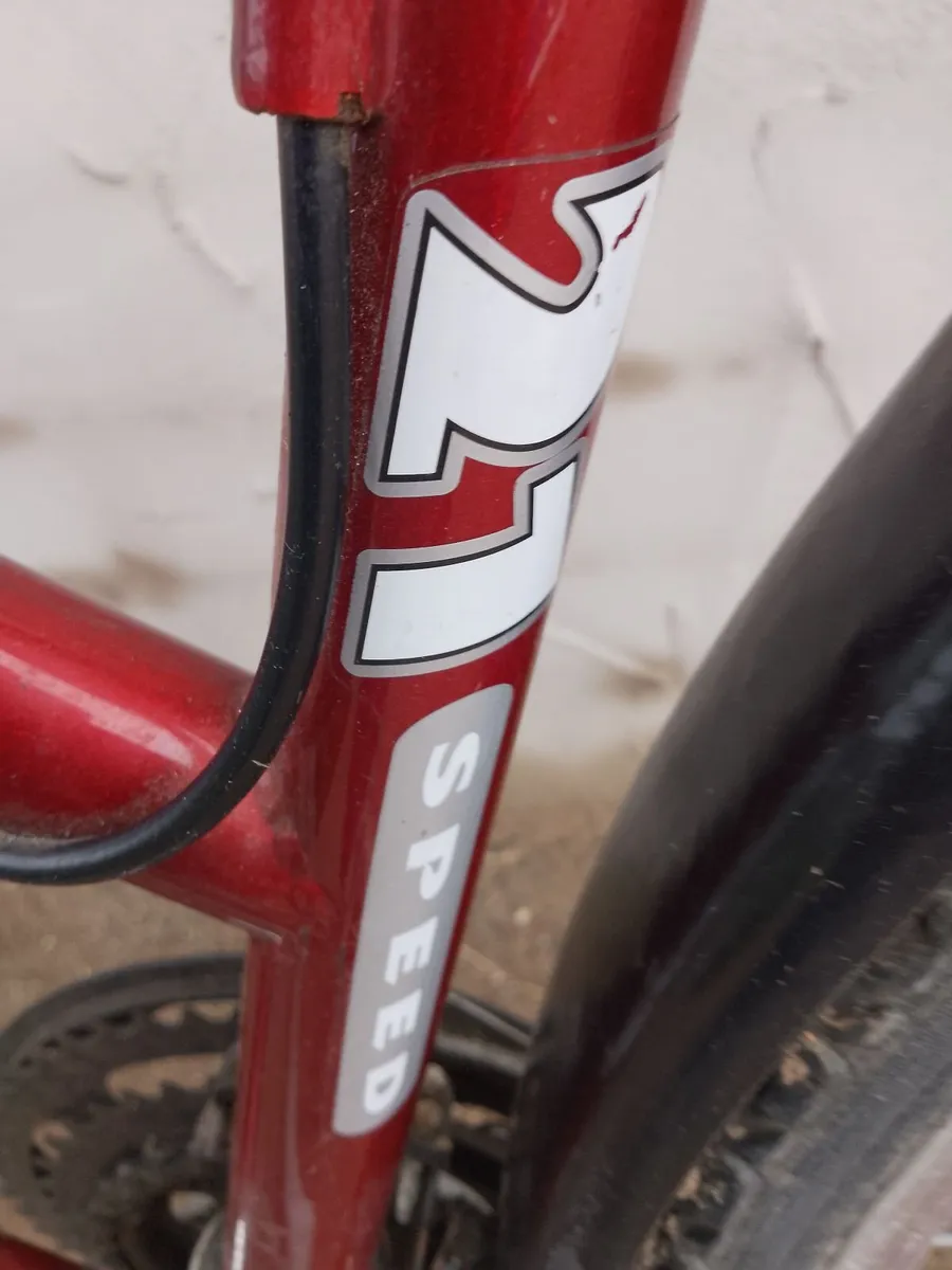 Ladies Bike - Image 4