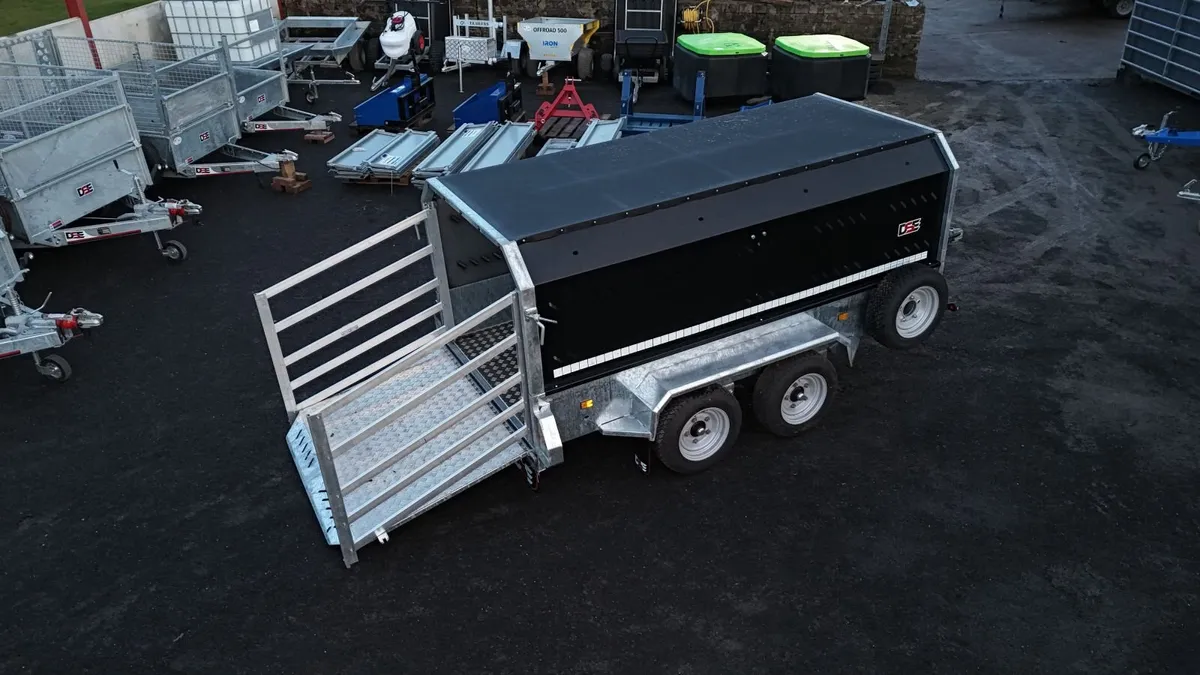 Livestock trailer 10x5 (DSE) - Image 4