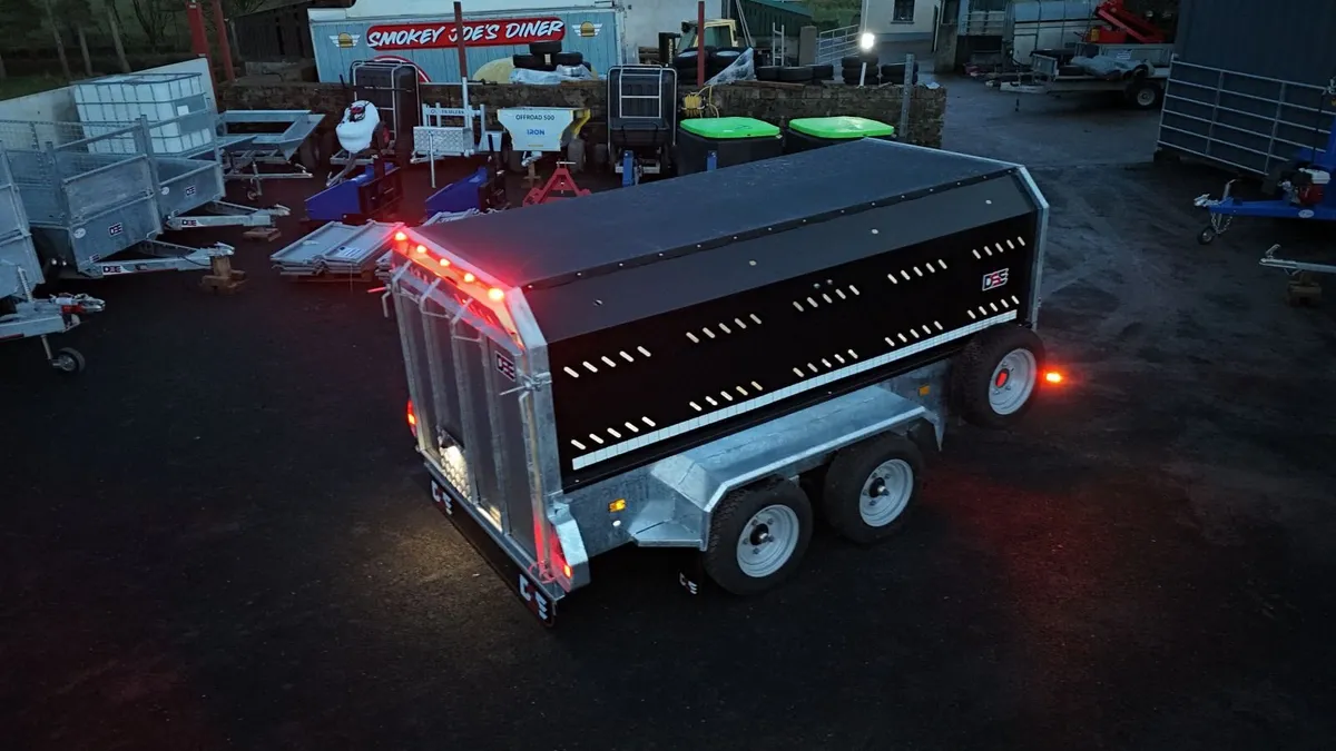 Livestock trailer 10x5 (DSE) - Image 3
