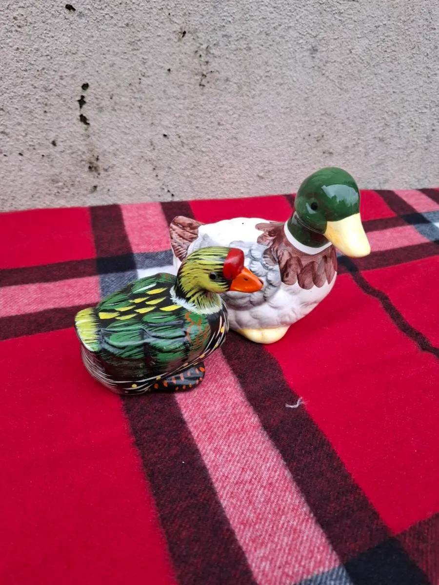 Lot of 2 ducks