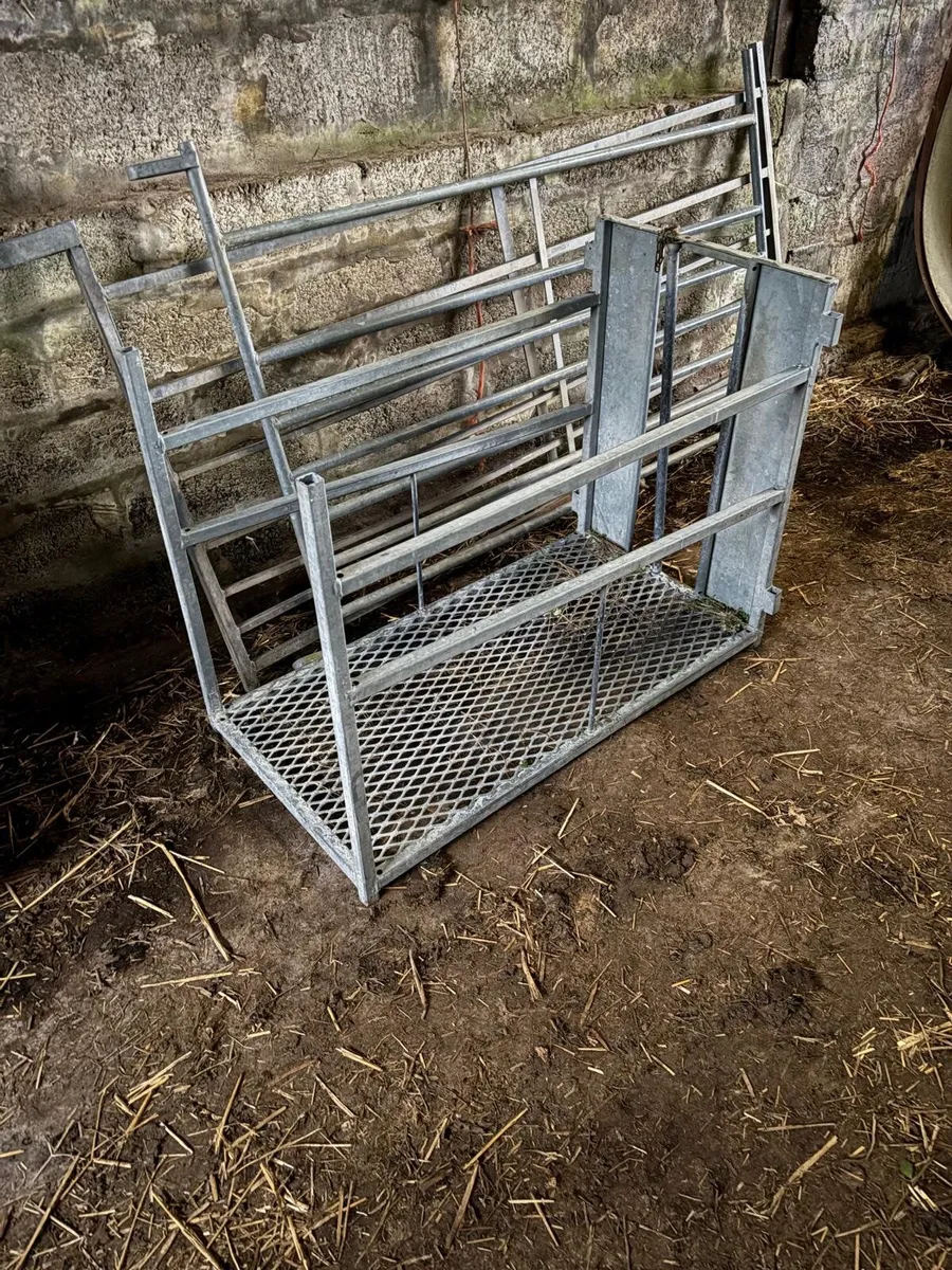 Sheep equipment - Image 2
