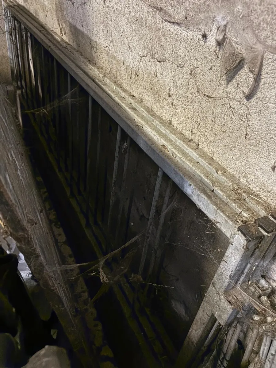 Sheep equipment - Image 4