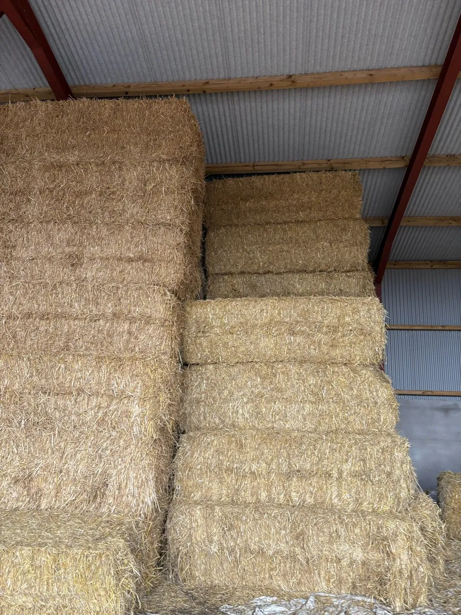 English Barley and Wheat straw - Image 2