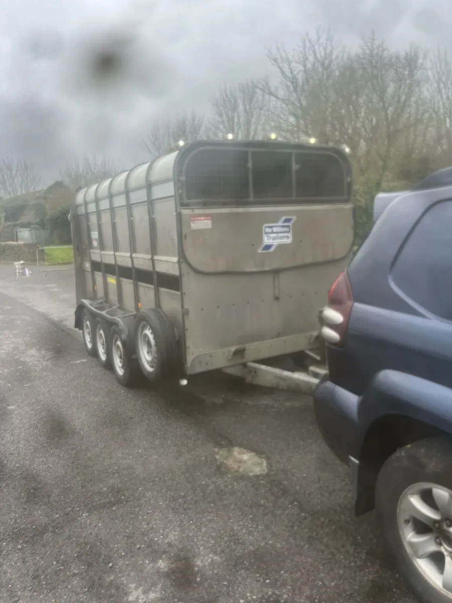 Immaculate 12x6 tri axle sheep trailer - Image 1