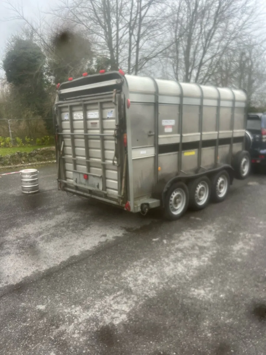 Immaculate 12x6 tri axle sheep trailer - Image 2
