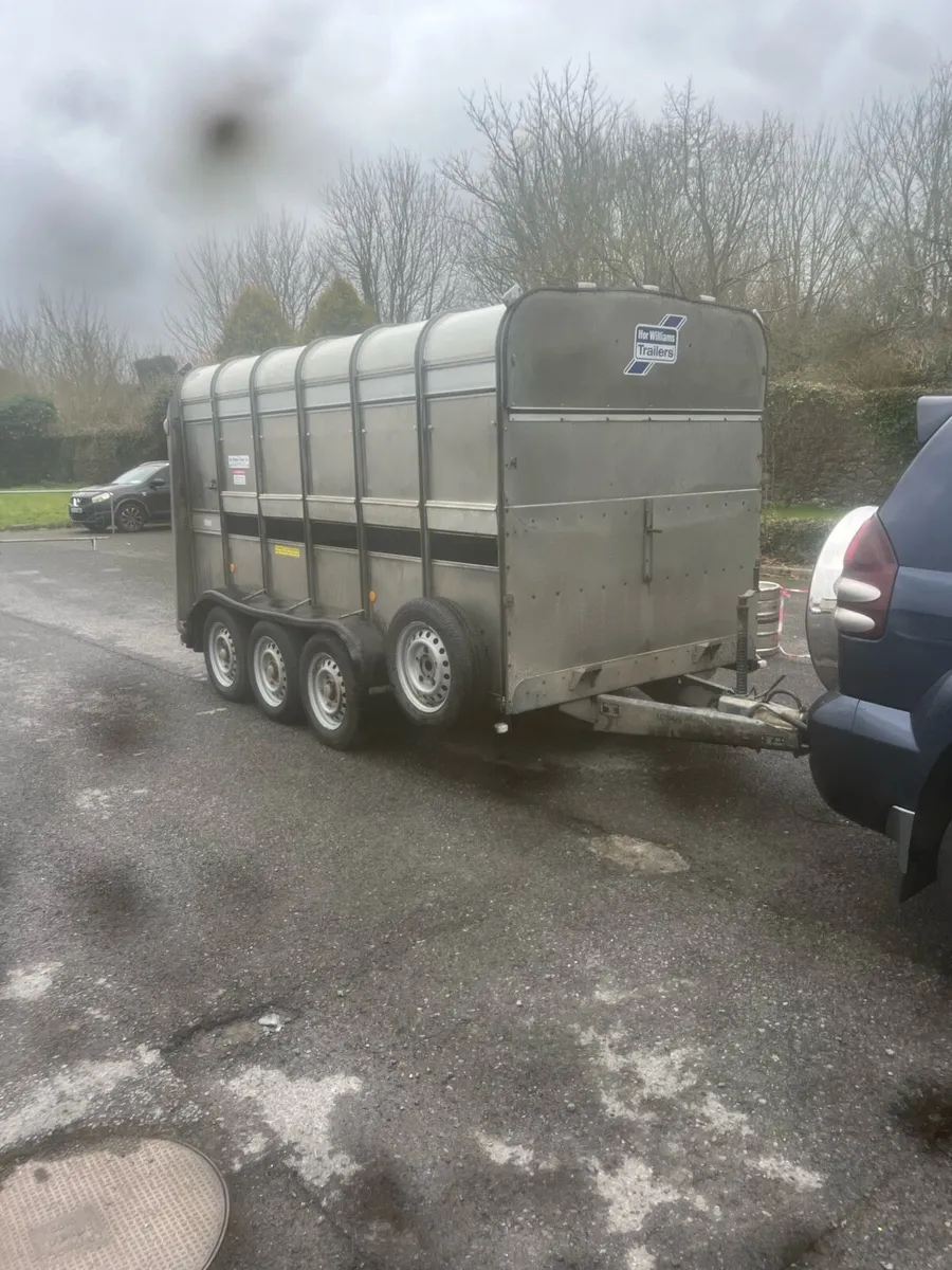 Immaculate 12x6 tri axle sheep trailer - Image 3