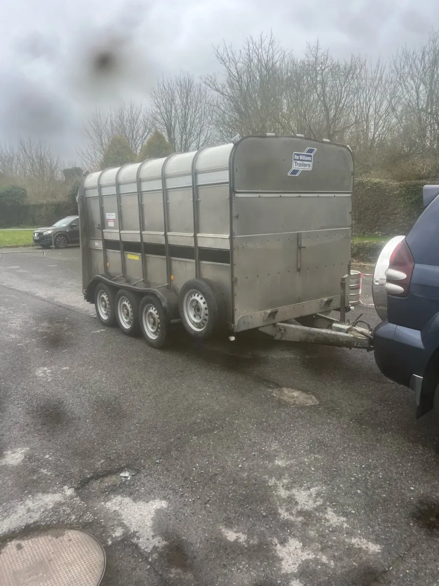 Immaculate 12x6 tri axle sheep trailer - Image 4
