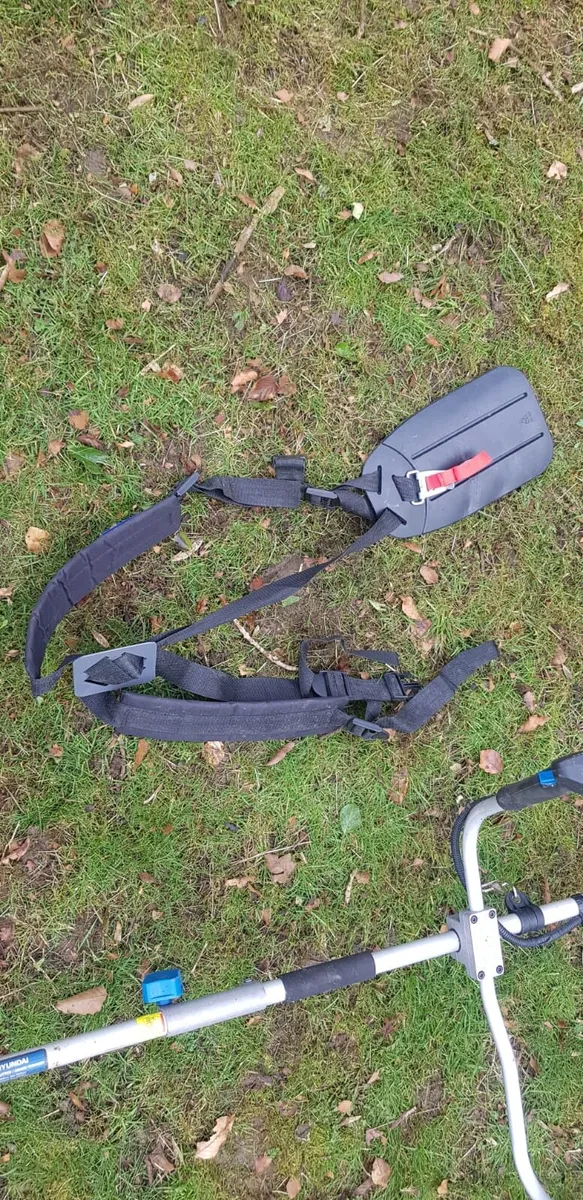 Grass Trimmer and Brushcutter - Image 4