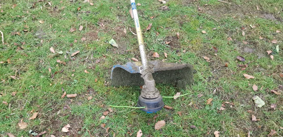 Grass Trimmer and Brushcutter - Image 3
