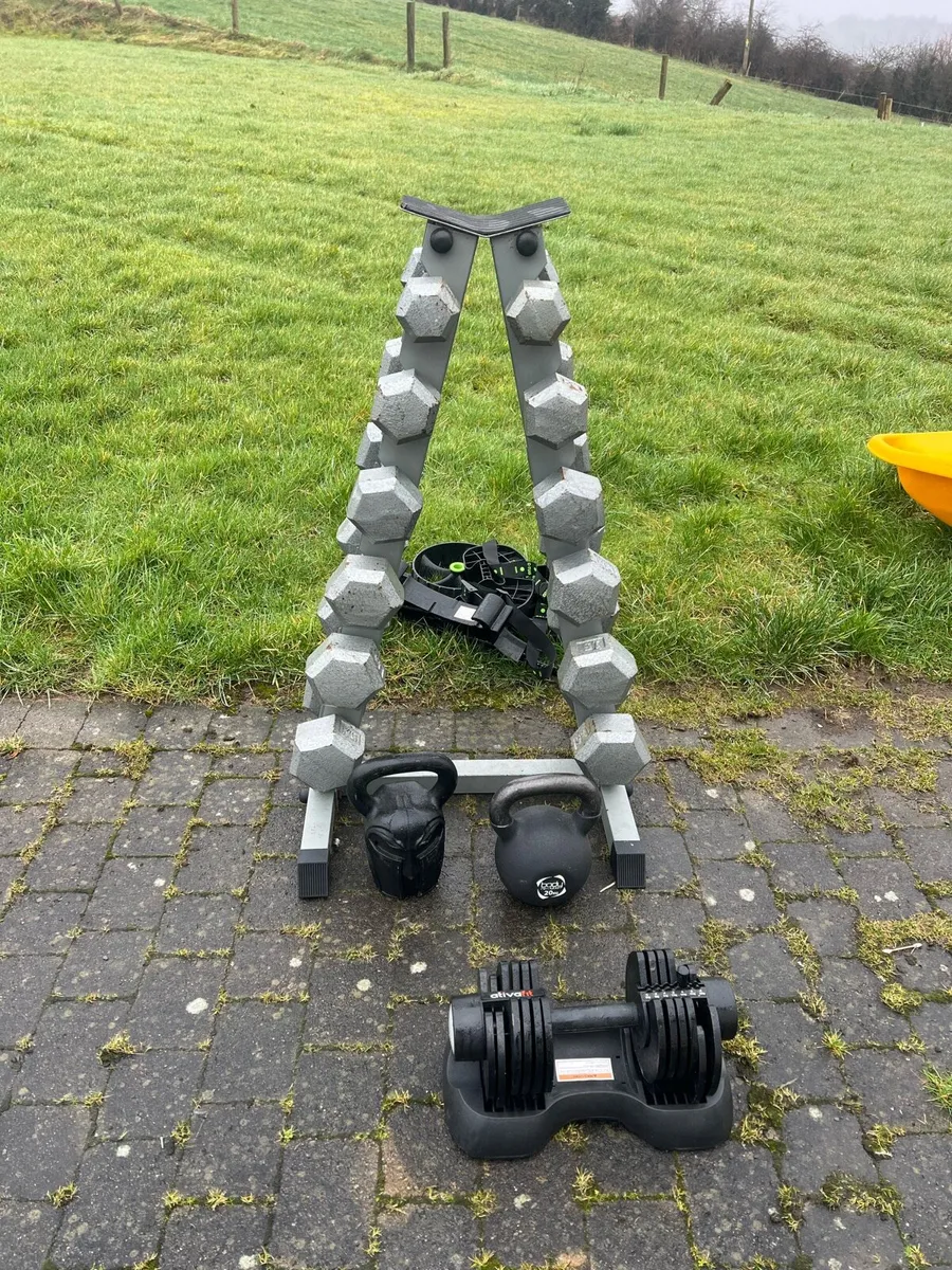 Weights - Image 1