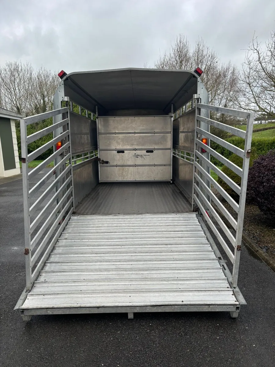 Ifor Williams 10x5"3 cattle box - Image 4