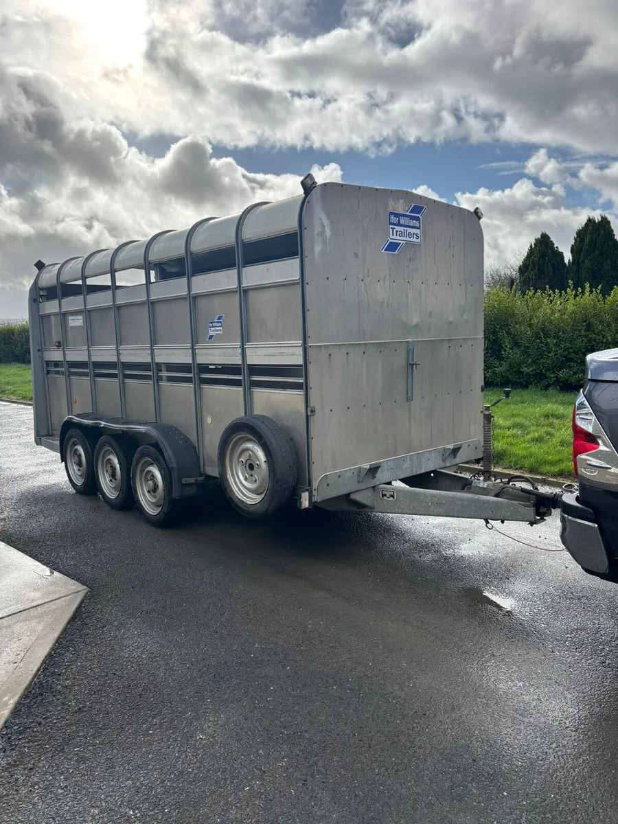 Ifor Williams 14 x 6 cattle box - Image 1