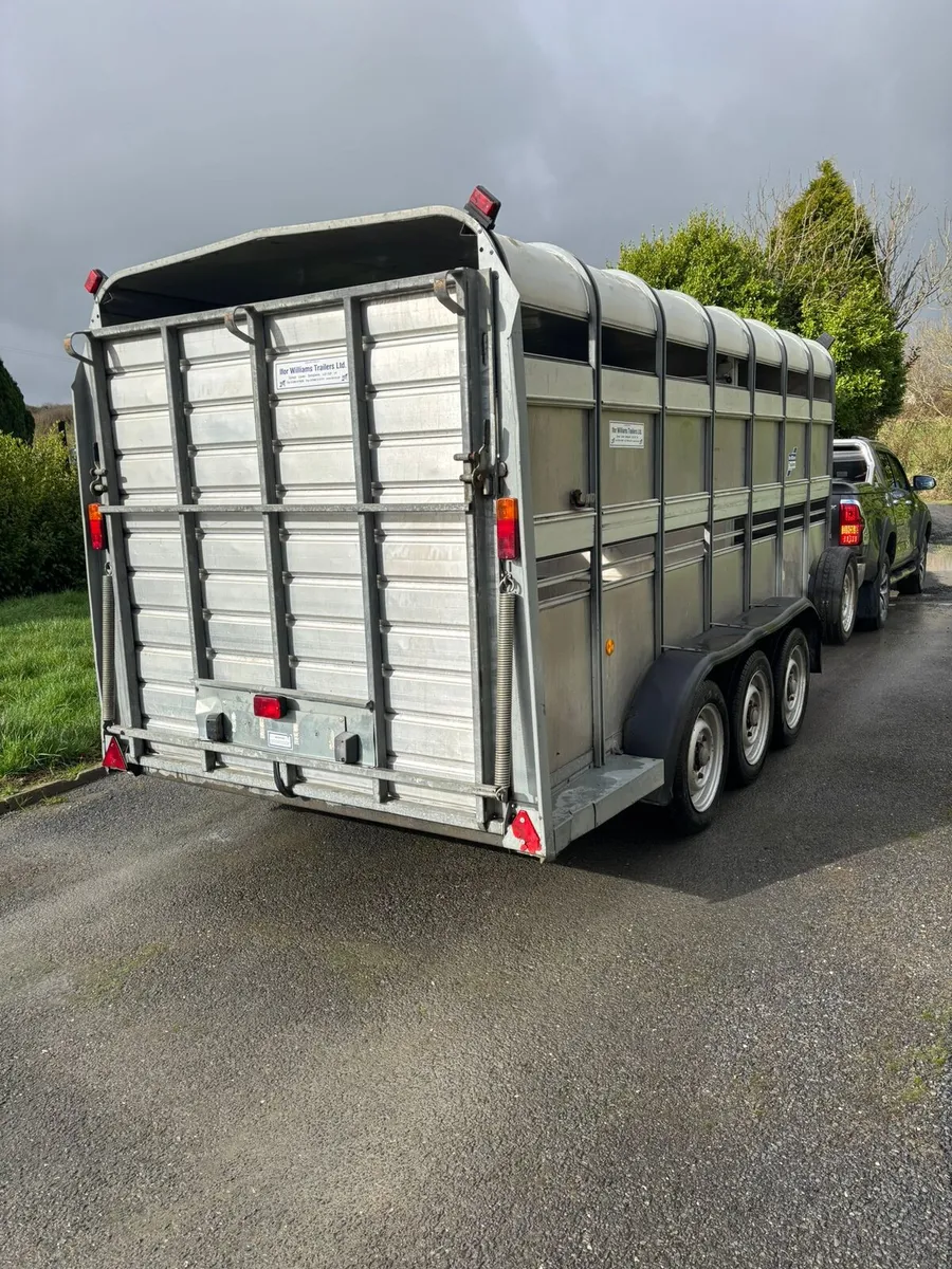 Ifor Williams 14 x 6 cattle box - Image 3