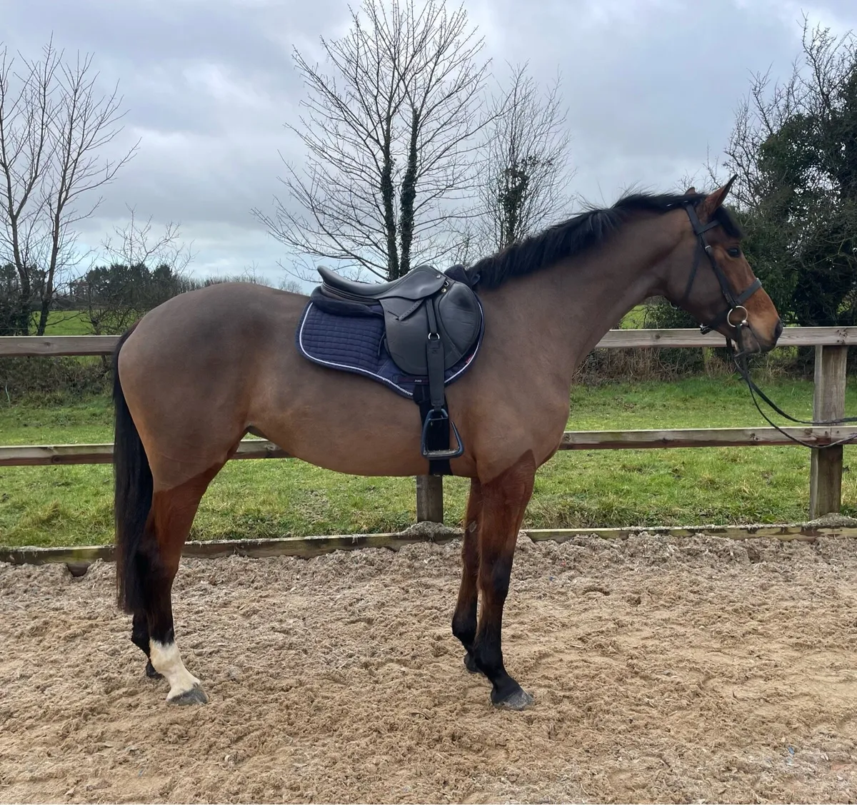 ⭐️ My Lucky Lady ⭐️ - Image 2