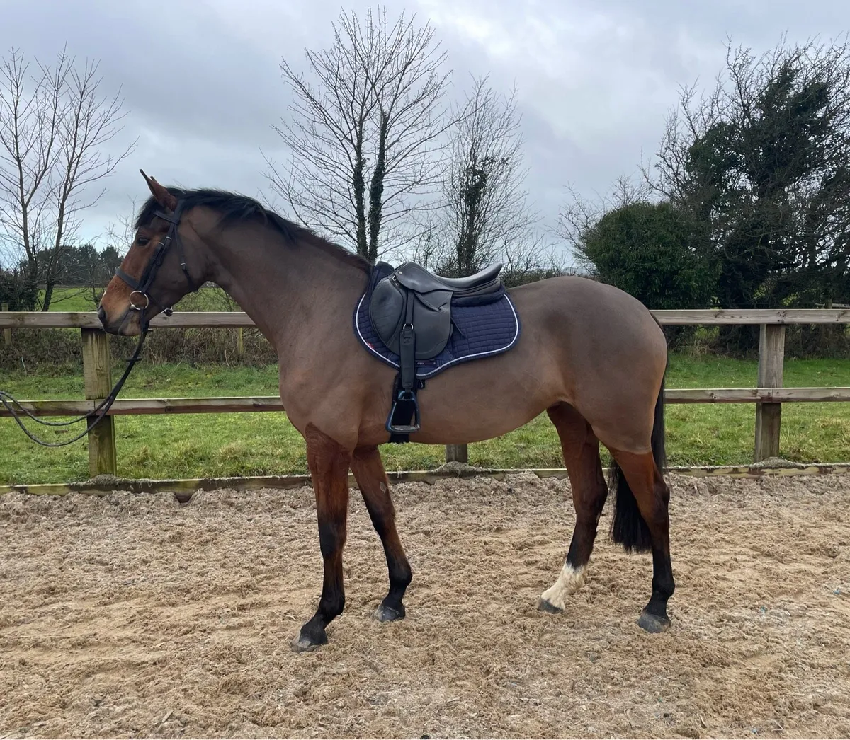 ⭐️ My Lucky Lady ⭐️ - Image 3