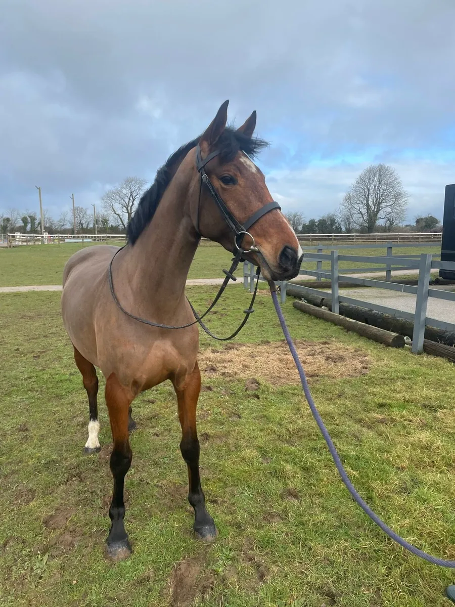 ⭐️ My Lucky Lady ⭐️ - Image 4