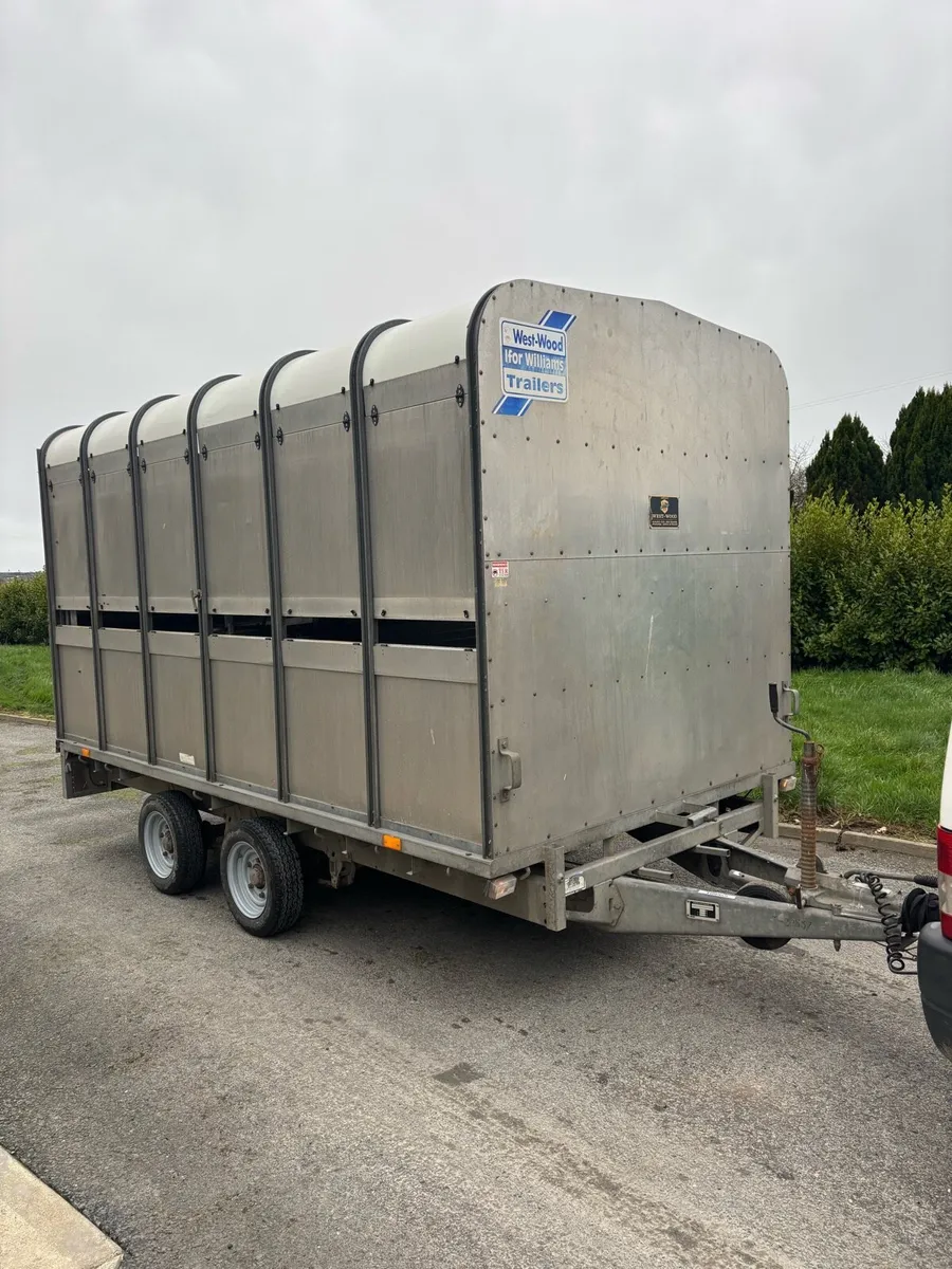Ifor Williams 12x6 cattle box - Image 1
