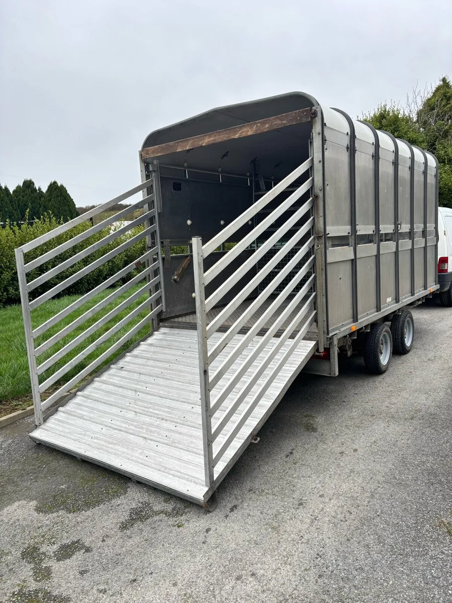 Ifor Williams 12x6 cattle box - Image 2