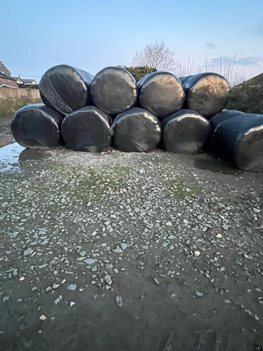 Quality Hay/Silage/Haylage - Image 3