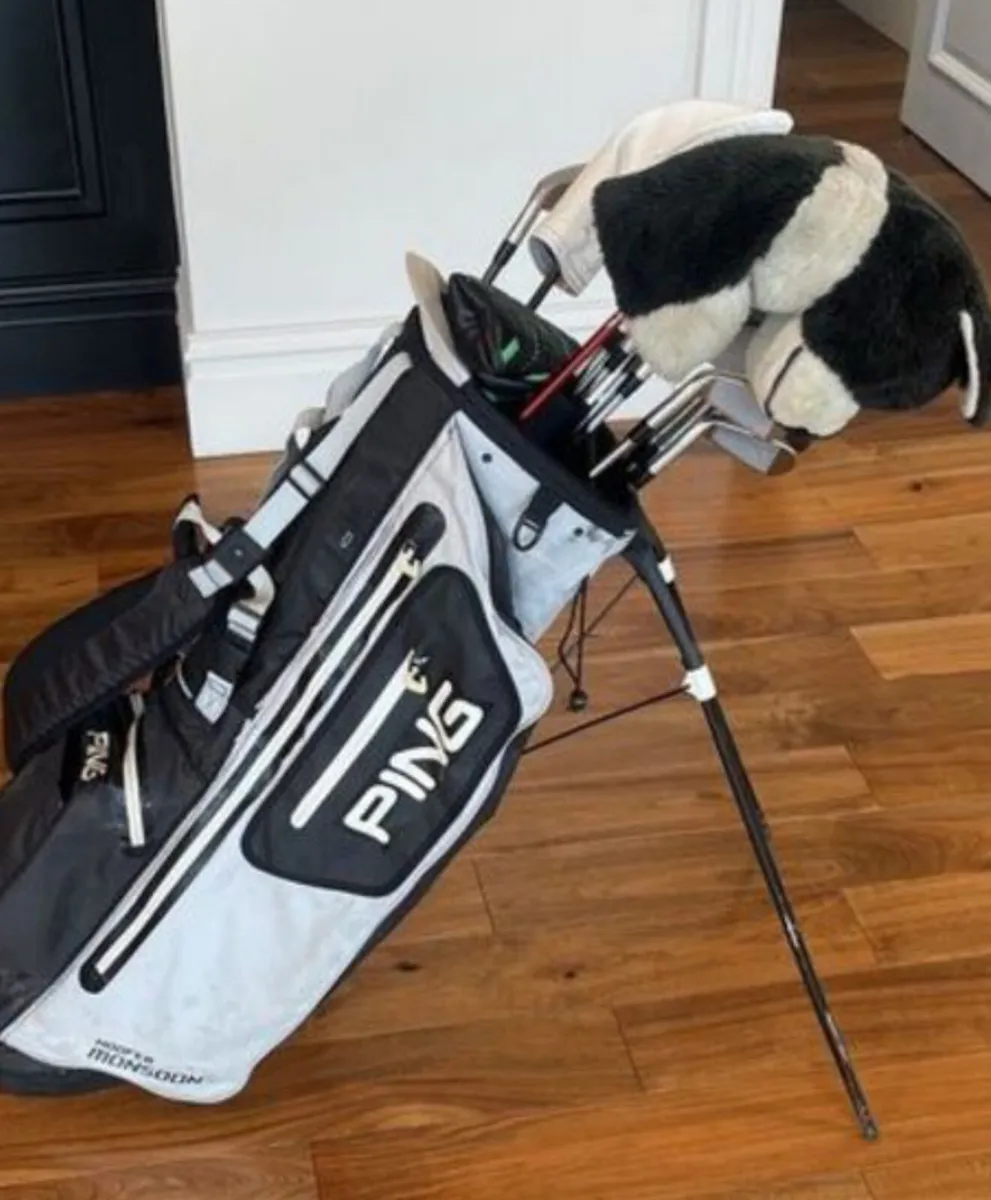 Ping Monsoon Carry Bag - Image 1