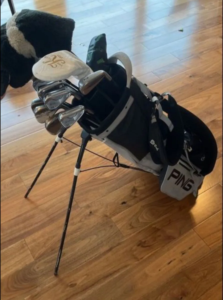 Ping Monsoon Carry Bag - Image 3