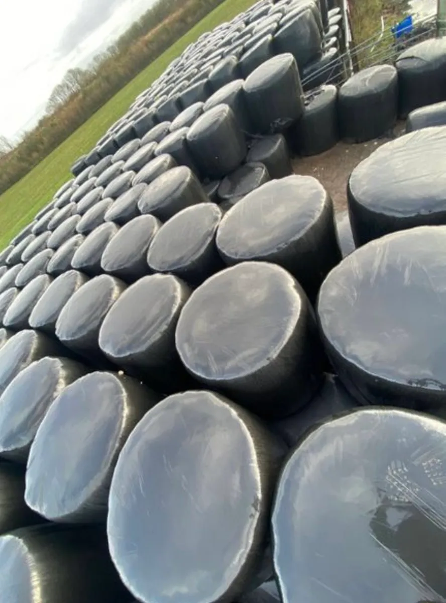 Bales of Silage