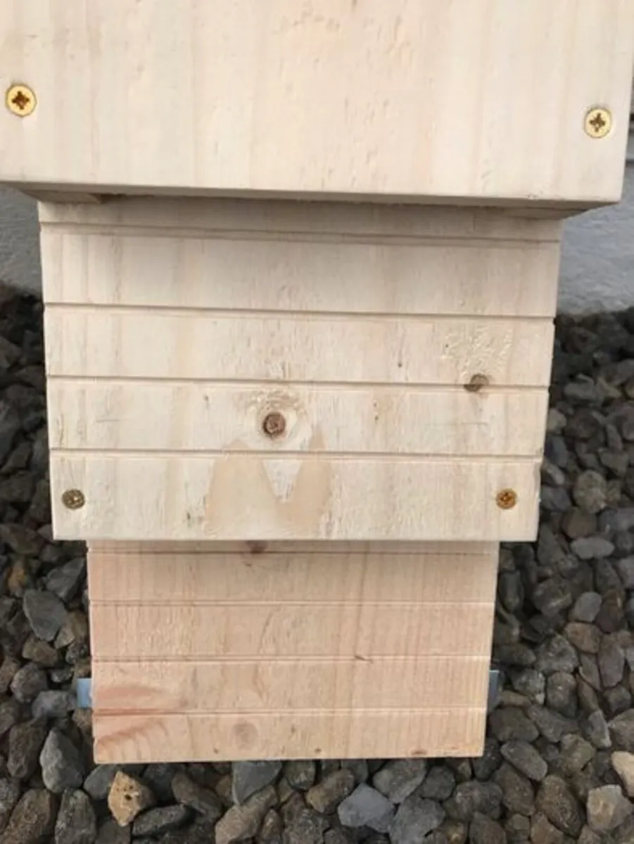 Bat boxes twin openings. With laser engraving - Image 2