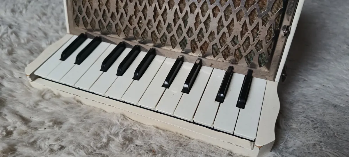 The Soloist-Hohner Germany Vintage Piano Accordion - Image 3