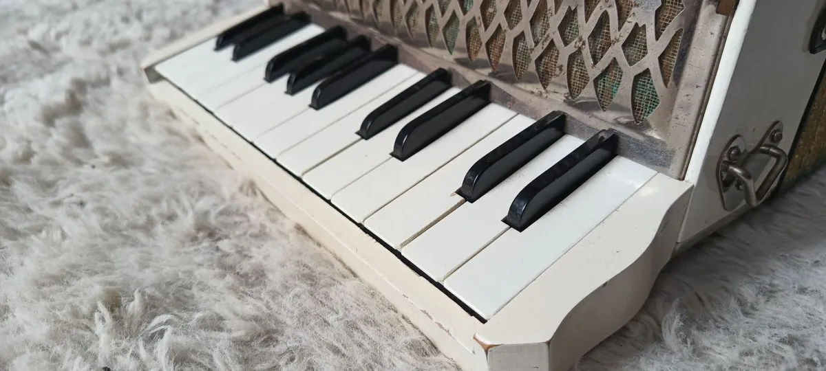 The Soloist-Hohner Germany Vintage Piano Accordion - Image 2