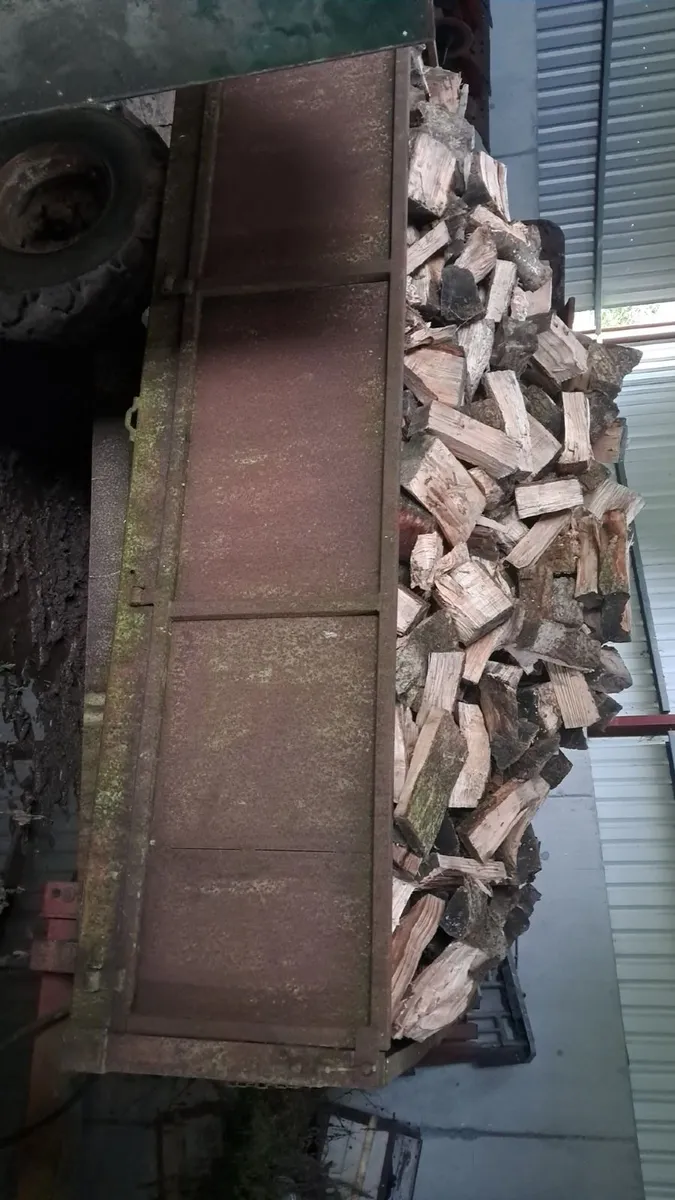 Load of seasoned ash timber - Image 3