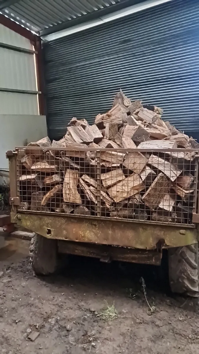 Load of seasoned ash timber - Image 2