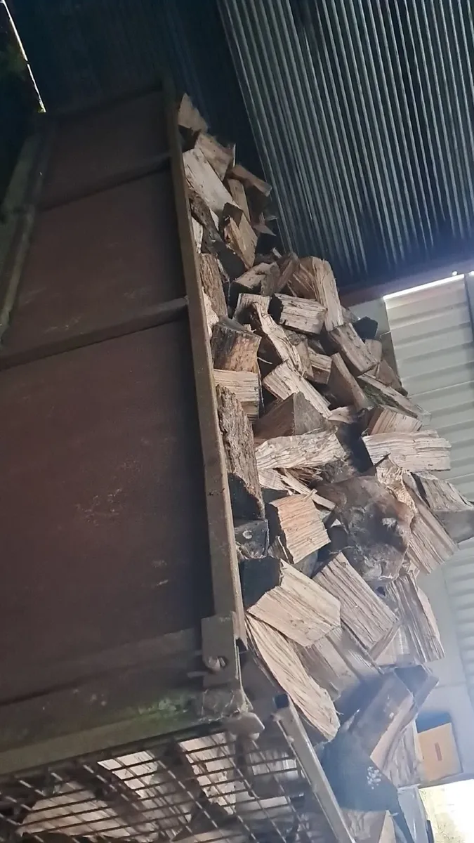 Load of seasoned ash timber - Image 1