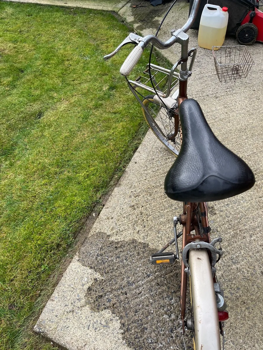 Raleigh shopper - Image 1