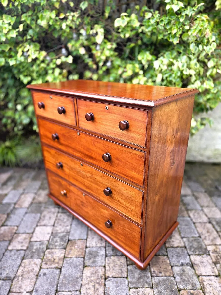 Large Irish Victorian Chest- Circa 1870 - Image 1