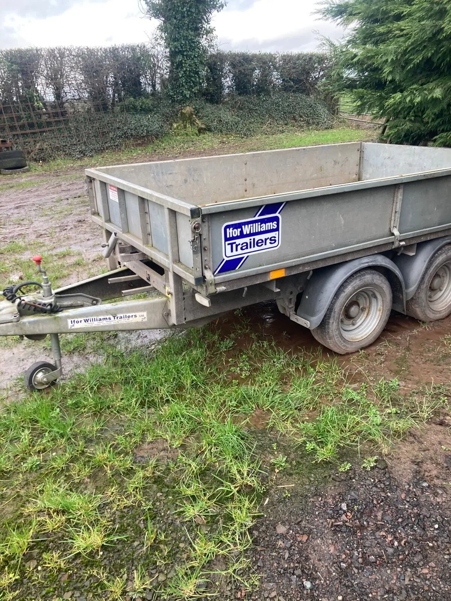 Ifor Williams trailer - Image 1