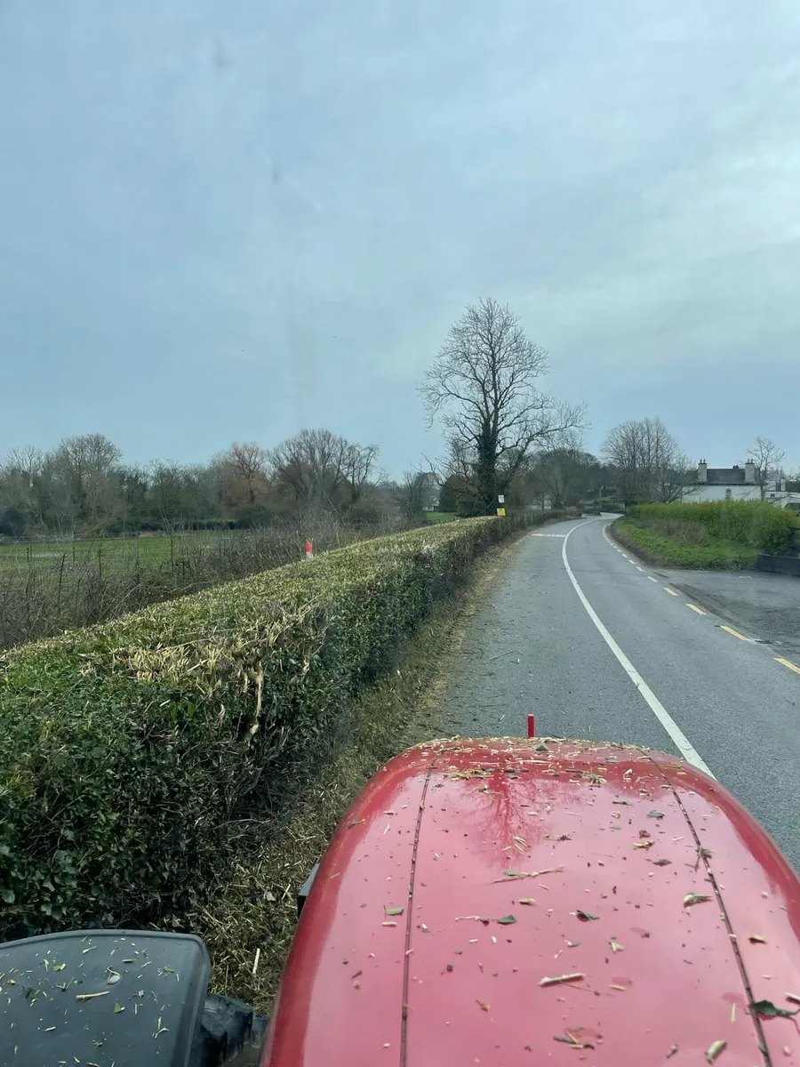 Hedge cutting - Image 1