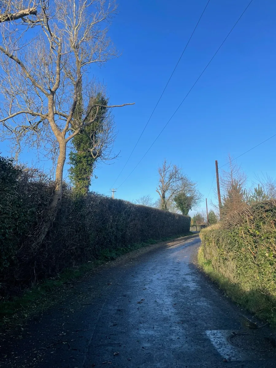 Hedge cutting - Image 3