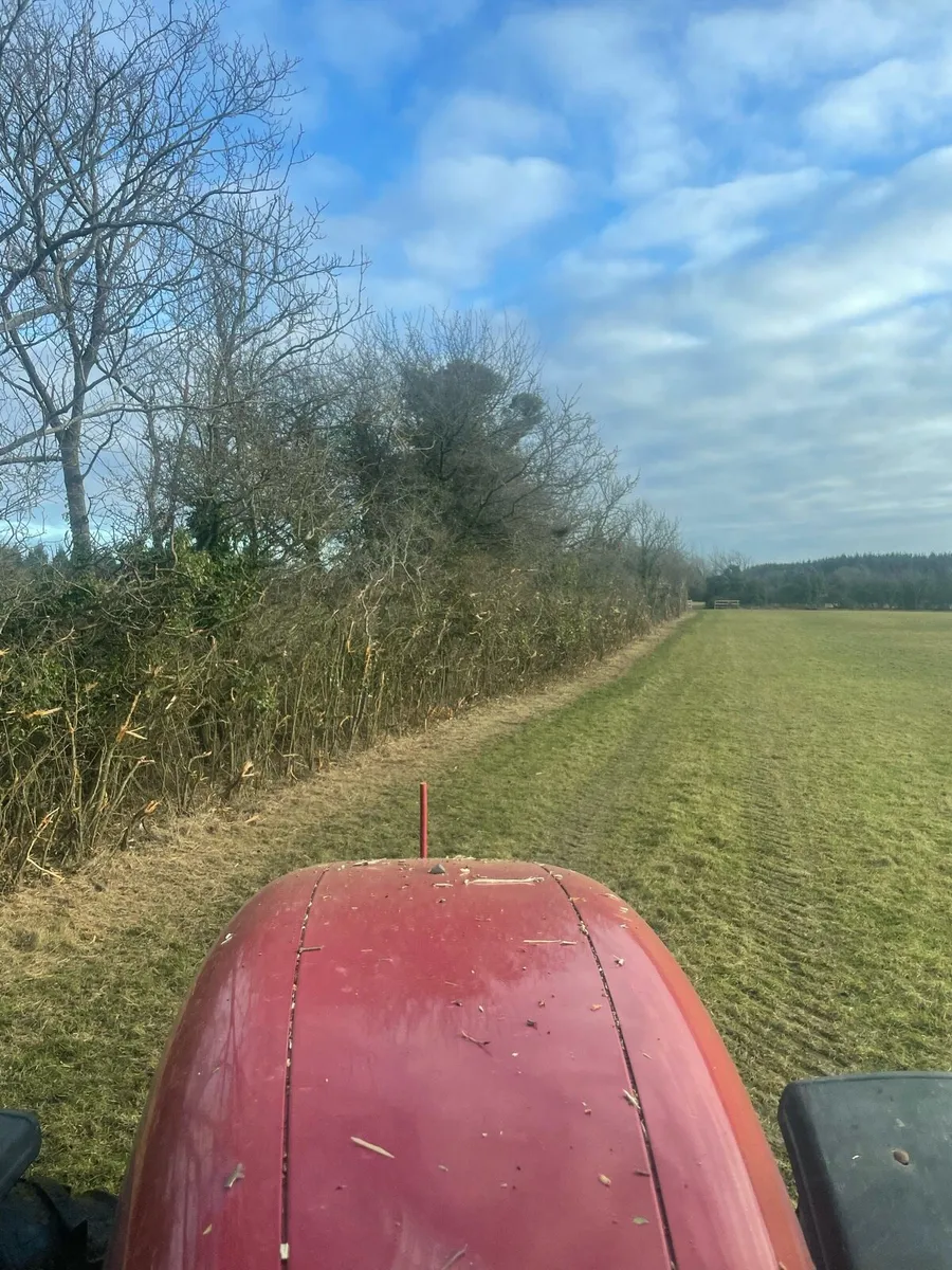 Hedge cutting - Image 4