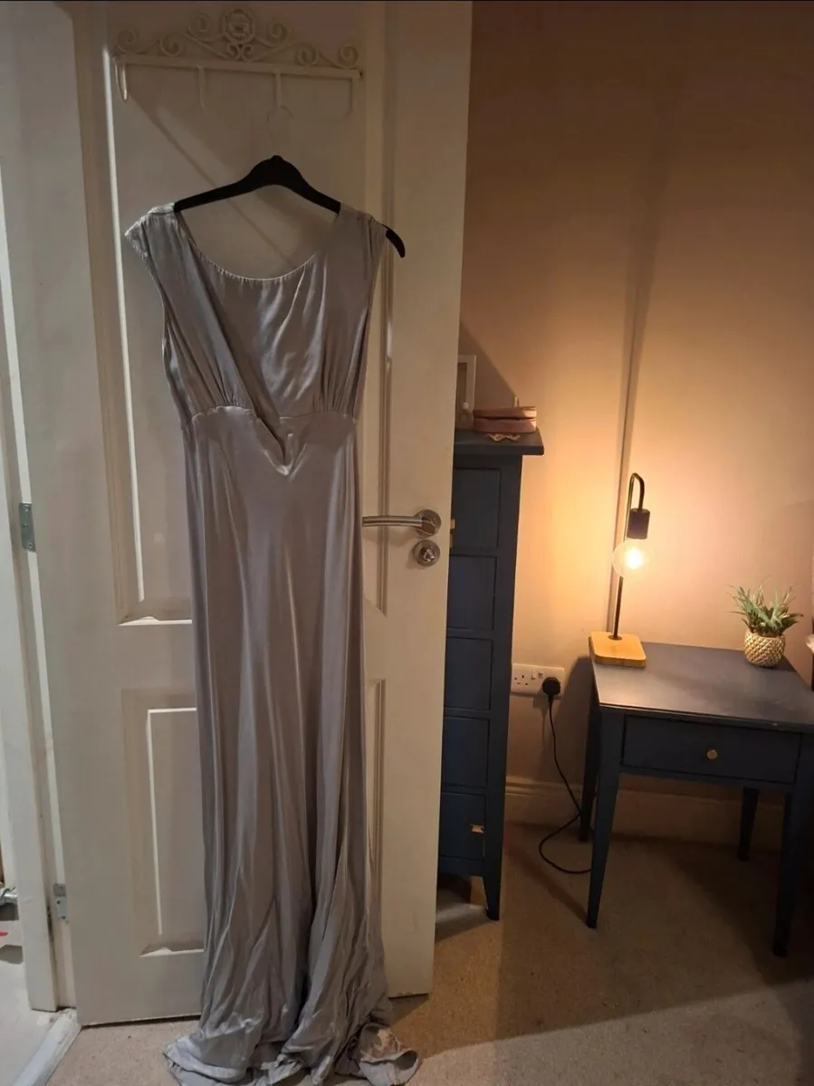 STUNNING Ghost Evening dress/bridesmaid dress. - Image 4