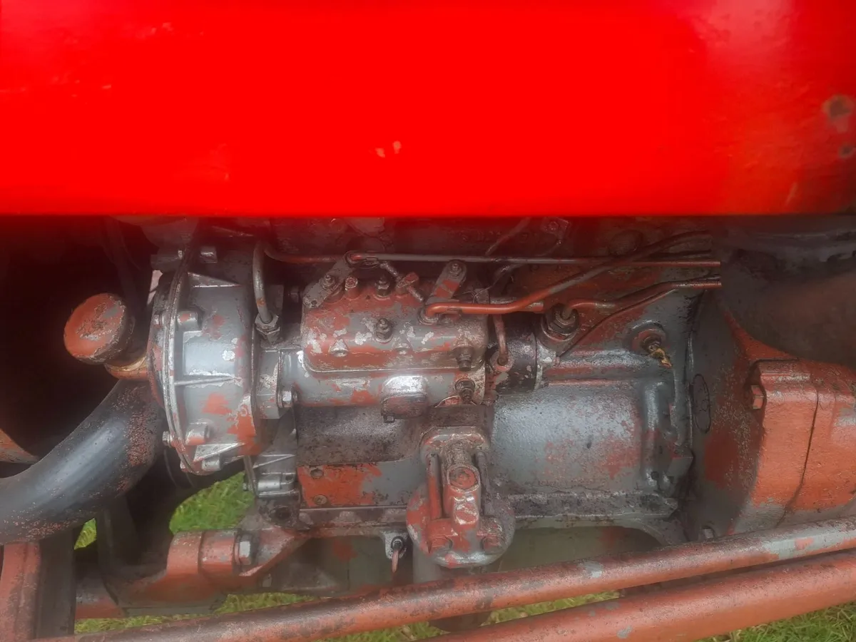 Massey Ferguson 135 - Image 3