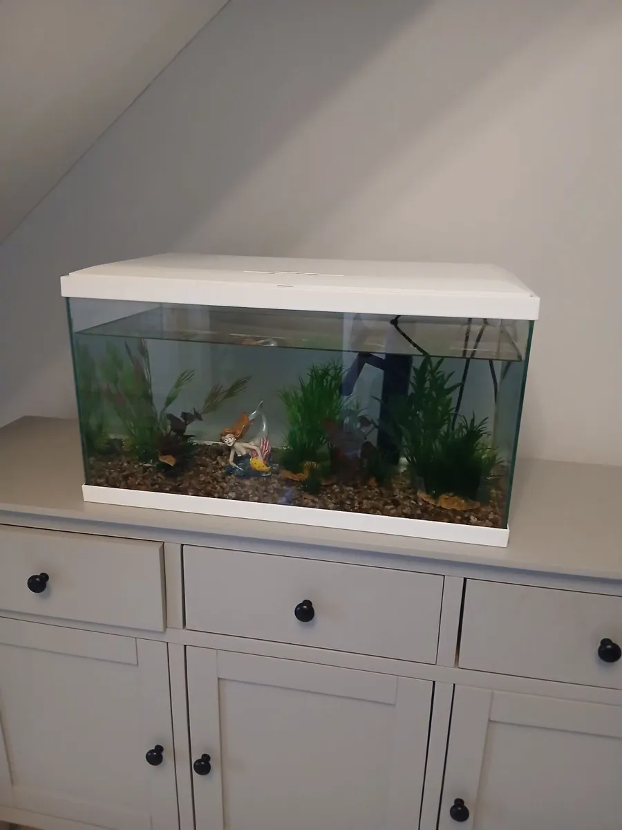 Fish tank - Image 2