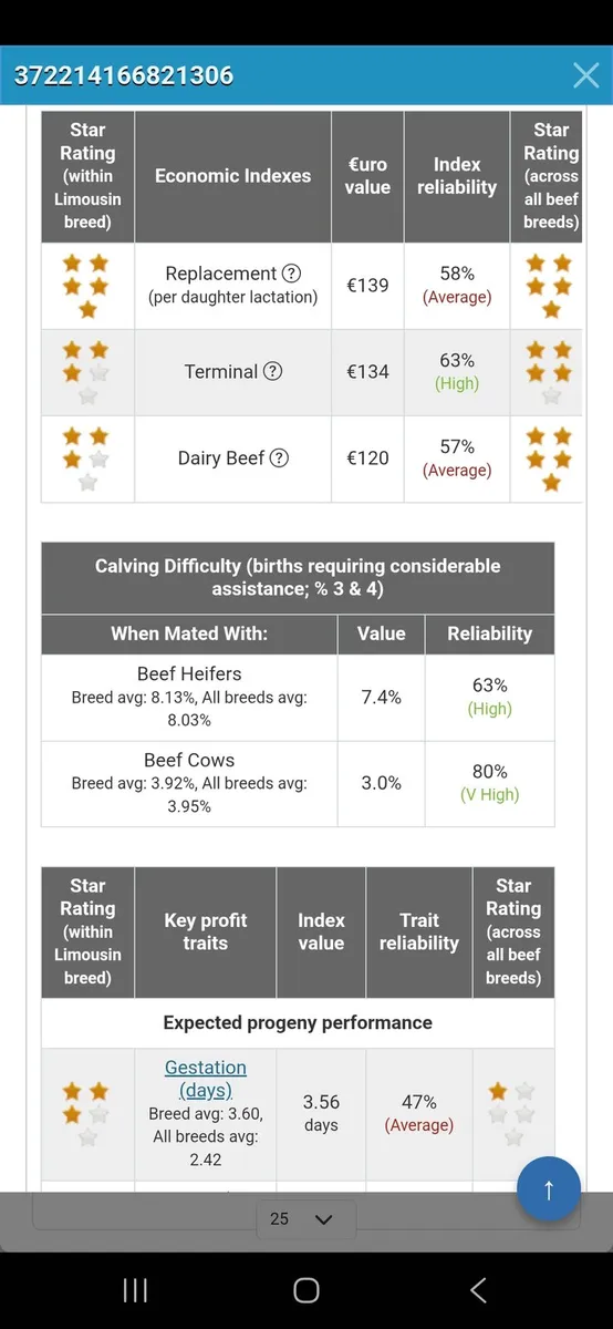 Limousin bull 5 Star - Image 3
