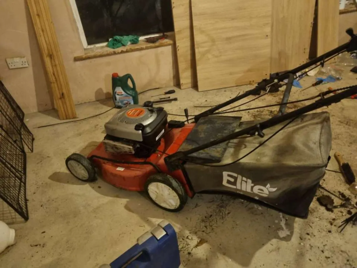 Push lawnmower - Image 1