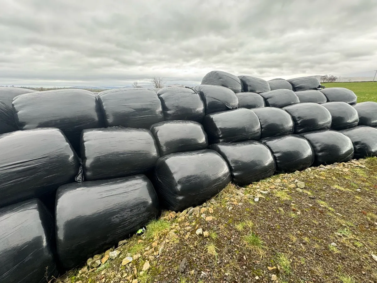 Round bales silage - Image 1