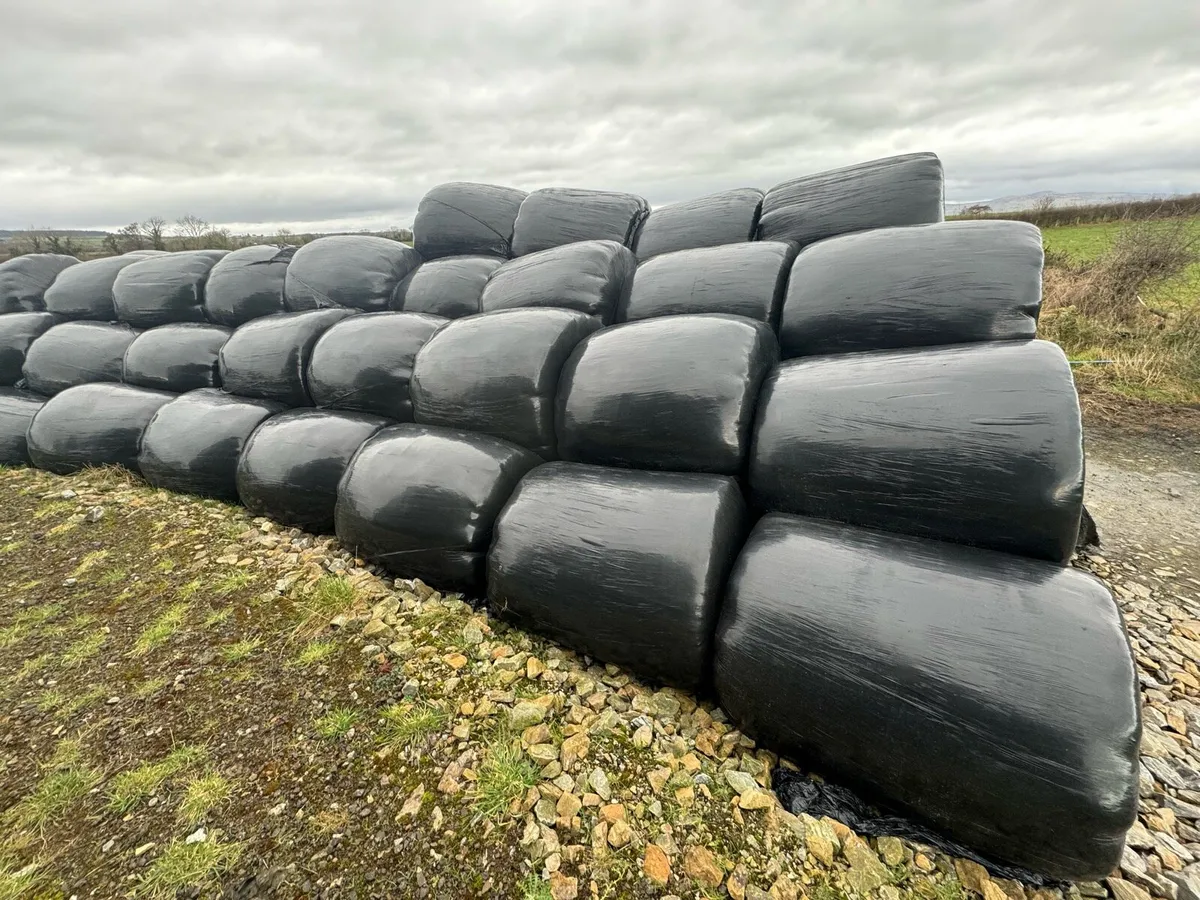 Round bales silage - Image 2
